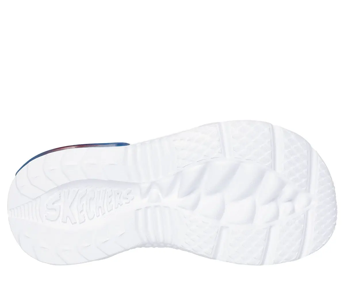 Creature-Splash – Bugtacular Creature-Splash – Bugtacular