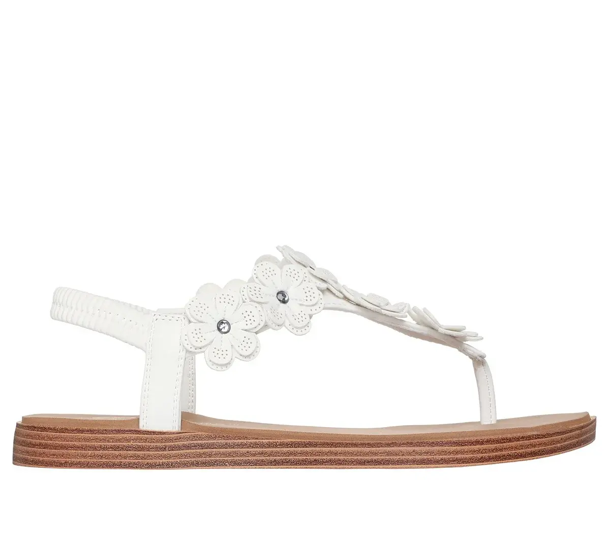 Summer Cove – Beach Bloom